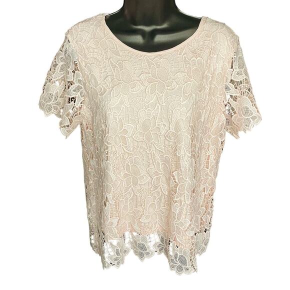 Philosophy NWT Pink Floral Lace Blouse Size Medium - Picture 3 of 7